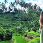 Ubud Tirta Empul Temple with Rice Terrace and Bali Jungle Swing - Why Youll Love This Tour