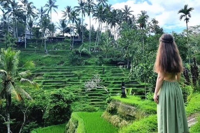 Ubud Tirta Empul Temple with Rice Terrace and Bali Jungle Swing - Why Youll Love This Tour