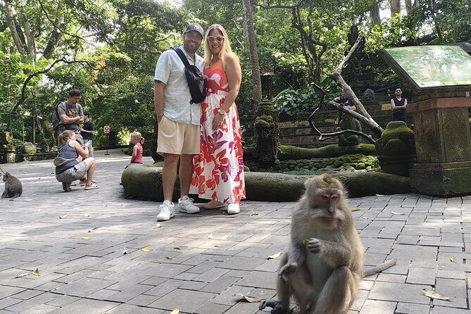 Ubud Tour Monkey Forest, Rice Terrace, Swing, Temple, Waterfall - Practical Details and Tips