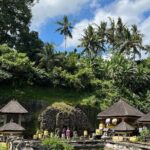Ubud Tour Sacred Temple Waterfall Rice Terrace and Art Village - What to Expect with Transportation and Timing