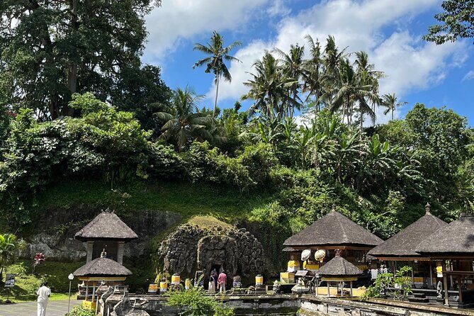 Ubud Tour Sacred Temple Waterfall Rice Terrace and Art Village - What to Expect with Transportation and Timing
