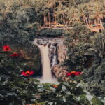 Ubud Tour with ATV Tubing Barong Dance and Waterfall - Who Will Love This Tour?