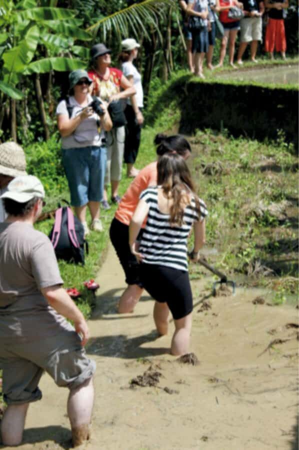 Ubud: Traditional Rice Farming Experience - What to Expect from the Rice Farming Tour in Ubud