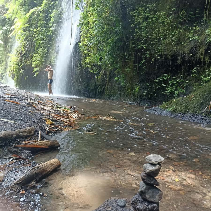 ubud trip monkey forest sanctuary - Practical Details and Tips