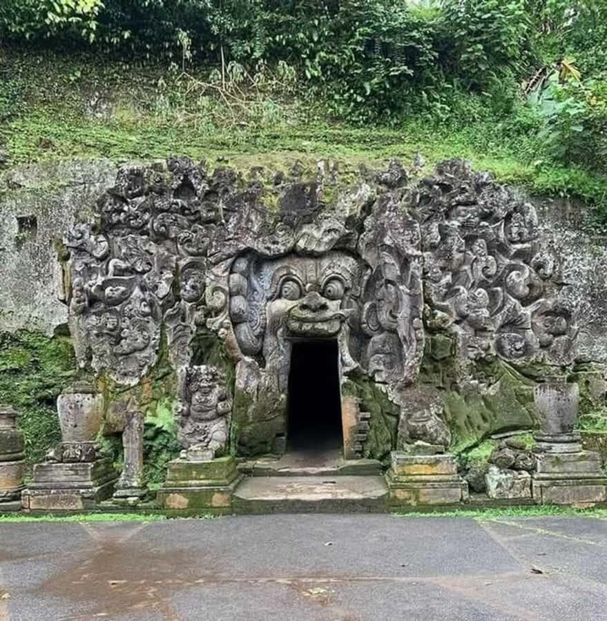 Ubud: Uma Anyar Waterfall, Goa Gajah Temple & Rice Terrace - Who Is This Tour Perfect For?