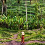 Ubud: Waterfalls, Temple & Rice Terraces Private Tour - What We Loved About This Tour