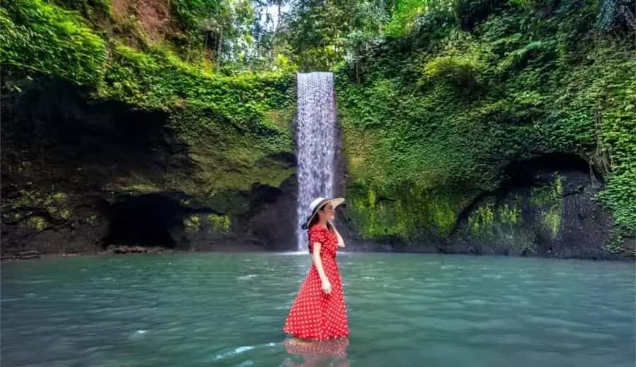Ubud Waterfalls ,Tirta Mpul ,With Rice Terrace Private Tour - Exploring the Ubud Waterfalls, Tirta Empul, and Rice Terraces Private Tour