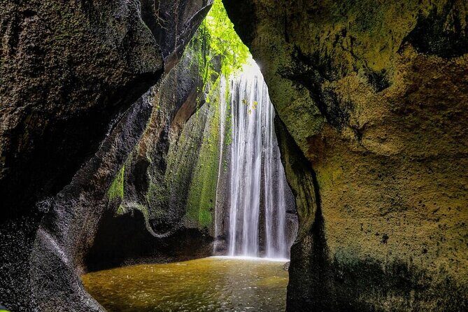 Ubud Waterfalls Water Temple and Rice Terraces Tour - Who Should Consider This Tour?