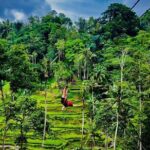 Ubud Zipline,Alas Harum combo experience with Private Car, Bali - Who Should Consider This Tour?