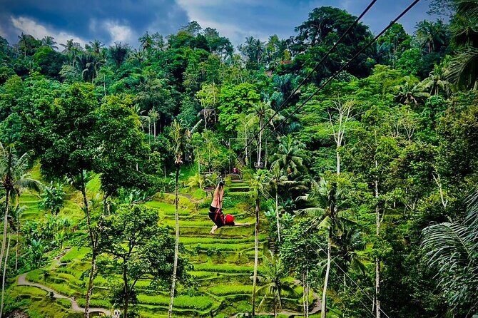 Ubud Zipline,Alas Harum combo experience with Private Car, Bali - Who Should Consider This Tour?