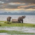 udawalawa/Ella tour (ahangama/waligama/mirissa/hiriketiya) - FAQ