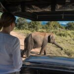 Udawalawe National Park Morning or Afternoon Game Drive - FAQs