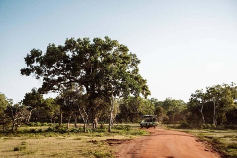 Udawalawe National Park: Private Safari From Colombo - Getting to Know Udawalawe National Park
