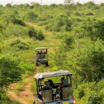 Udawalawe National Park Safari from Hambantota Seaport - What Could Be Better?