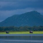 Udawalawe National Park Safari from Hikkaduwa - Why This Tour Is a Great Choice