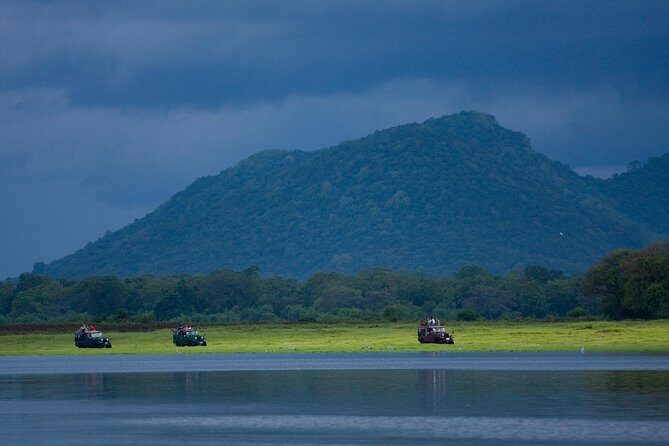 Udawalawe National Park Safari from Hikkaduwa - Why This Tour Is a Great Choice