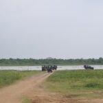 Udawalawe National Park Safari from Kalutara - What’s Included and What’s Not