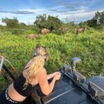 Udawalawe National Park Safari from Mirissa or Weligama - Lunch and Relaxation: Optional Cultural Stop