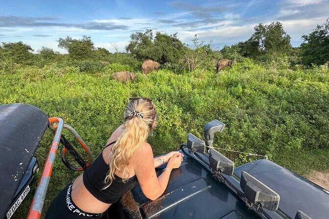 Udawalawe National Park Safari from Mirissa or Weligama - Lunch and Relaxation: Optional Cultural Stop