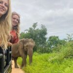 Udawalawe Safari & Elephant Orphanage visit from Hambantota Fort - FAQ