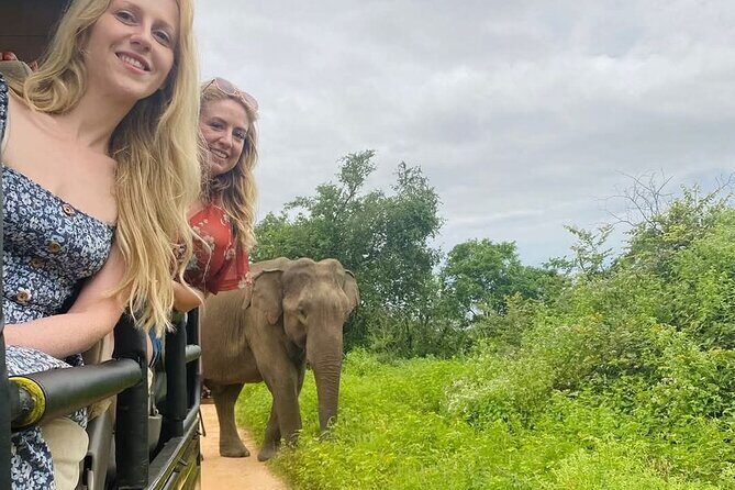 Udawalawe Safari & Elephant Orphanage visit from Hambantota Fort - FAQ