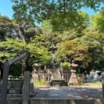 Ueno Park and Ameyoko Street Food Market Half Day Walking Tour - Practical Details & Tips