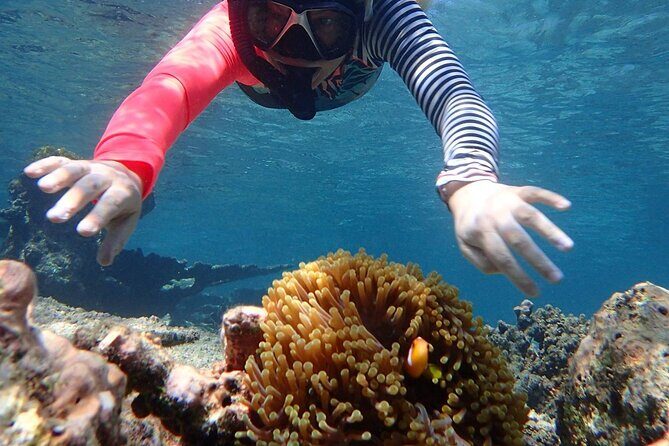 Ukulhas Tour A - 3 Points Snorkeling Tour