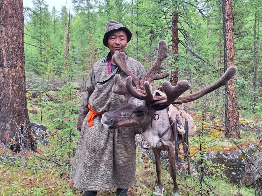 Ulaanbaatar: 9-Day Northern Mongolia Reindeer Adventure - Detailed Itinerary and Experience Breakdown