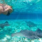 Ultimate Adventure with our Private One Day Komodo Tour - What’s Included and What’s Not