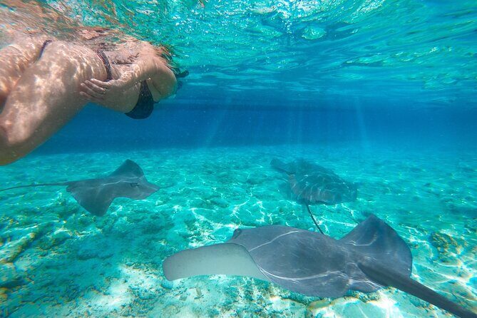 Ultimate Adventure with our Private One Day Komodo Tour - What’s Included and What’s Not