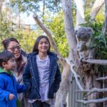 Ultimate Blue Mountains, Scenic World, Zoo & Lincoln's Rock Tour - Practical Details and Value Analysis