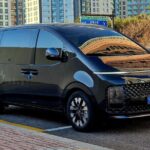 Ultimate Private Seoul Experience with Chauffeur-driven Car - Who Will Love This Tour?