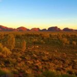 Uluru Overnight Escape from Alice Springs - The Bottom Line: Who Will Love This Tour?