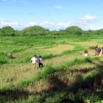 Uncrowded Bohol: Tarsiers, Chocolate Hills & Local Lunch - What We Loved About the Tour