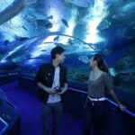Underwater World at Pattaya Admission Ticket with Return Transfer - The Details of the Itinerary