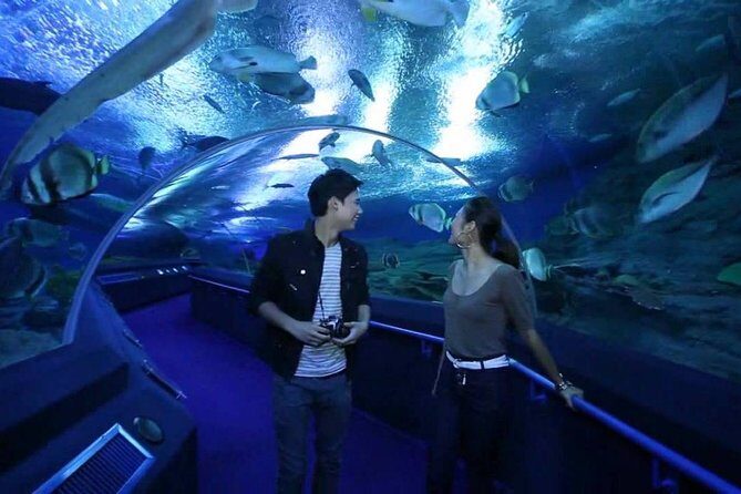 Underwater World at Pattaya Admission Ticket with Return Transfer - The Details of the Itinerary