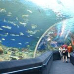 Underwater World in Pattaya Admission Ticket - Practical Tips for Visiting Underwater World Pattaya