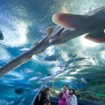 Underwater World in Pattaya Admission Ticket - FAQ