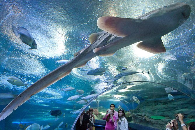 Underwater World in Pattaya Admission Ticket - FAQ