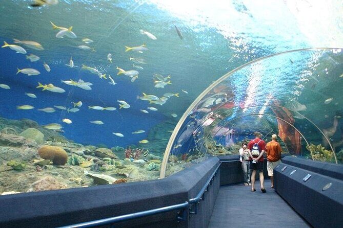 Underwater World in Pattaya Admission Ticket - Practical Tips for Visiting Underwater World Pattaya