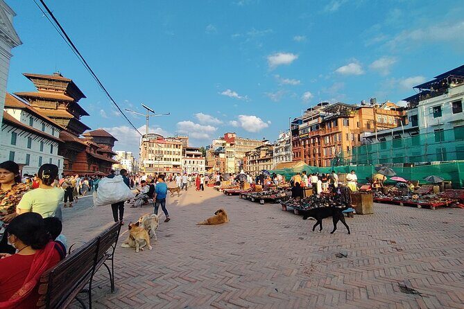 UNESCO Heritage Tour of Kathmandu Valley - Authentic Insights from Travelers