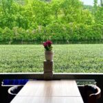 UNESCO Listed Tea Hand Frying and Tasting Workshop in Hangzhou - The Itinerary Breakdown