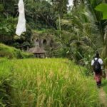 UNESCO Sites Cultural Walking Tour in Bali - Who Is This Tour Best For?