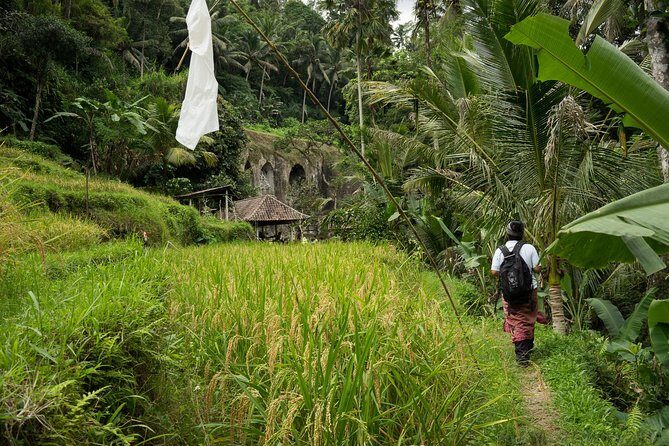UNESCO Sites Cultural Walking Tour in Bali - Who Is This Tour Best For?