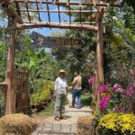 Unique Land Tour Phu Quoc Northern & Kayaking - Authentic Experiences That Make a Difference