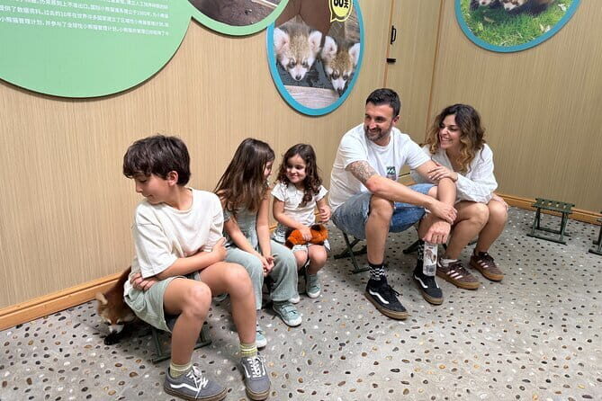 Unique One-Day Tour: Interactive Experience with Red Pandas - Transportation, Timing, and Comfort
