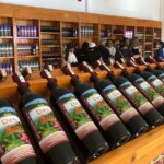 Unique Phu Quoc Full Day Private North and South Journey - Transportation & Practicalities