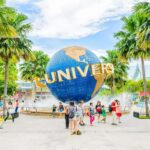 Universal Studios Singapore with Transfer & Meal Coupon - What Makes This Tour Worth Considering?