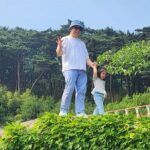 Untold Stories of Koreas Spiritual Jewel at Tongdosa - A Closer Look at the Experience