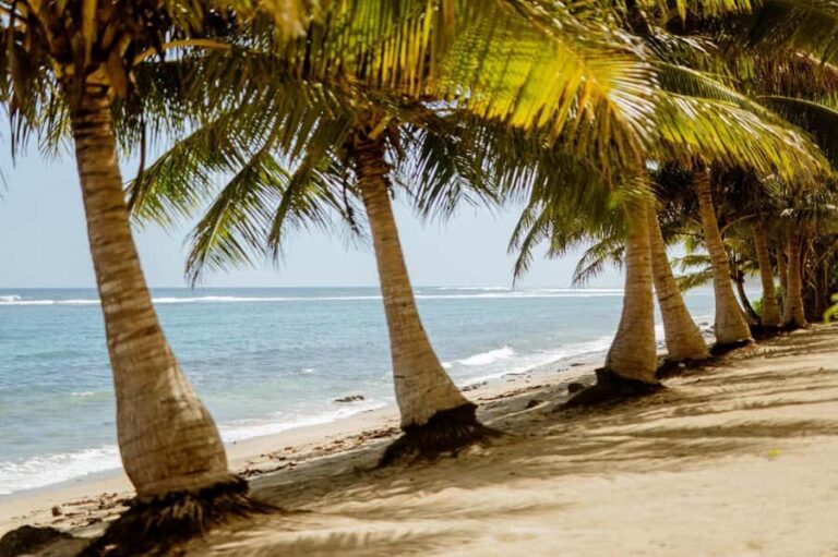 Upolu Samoa Full Day Private Tour - What to Expect from the Tour